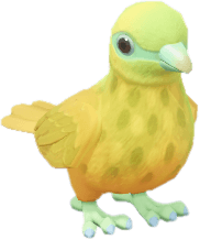 황금과일비둘기