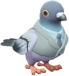 신사 회색 비둘기