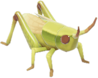 오아시스 메뚜기