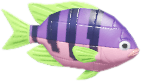 보라 브릭 줄자돔