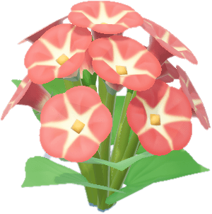 나팔꽃